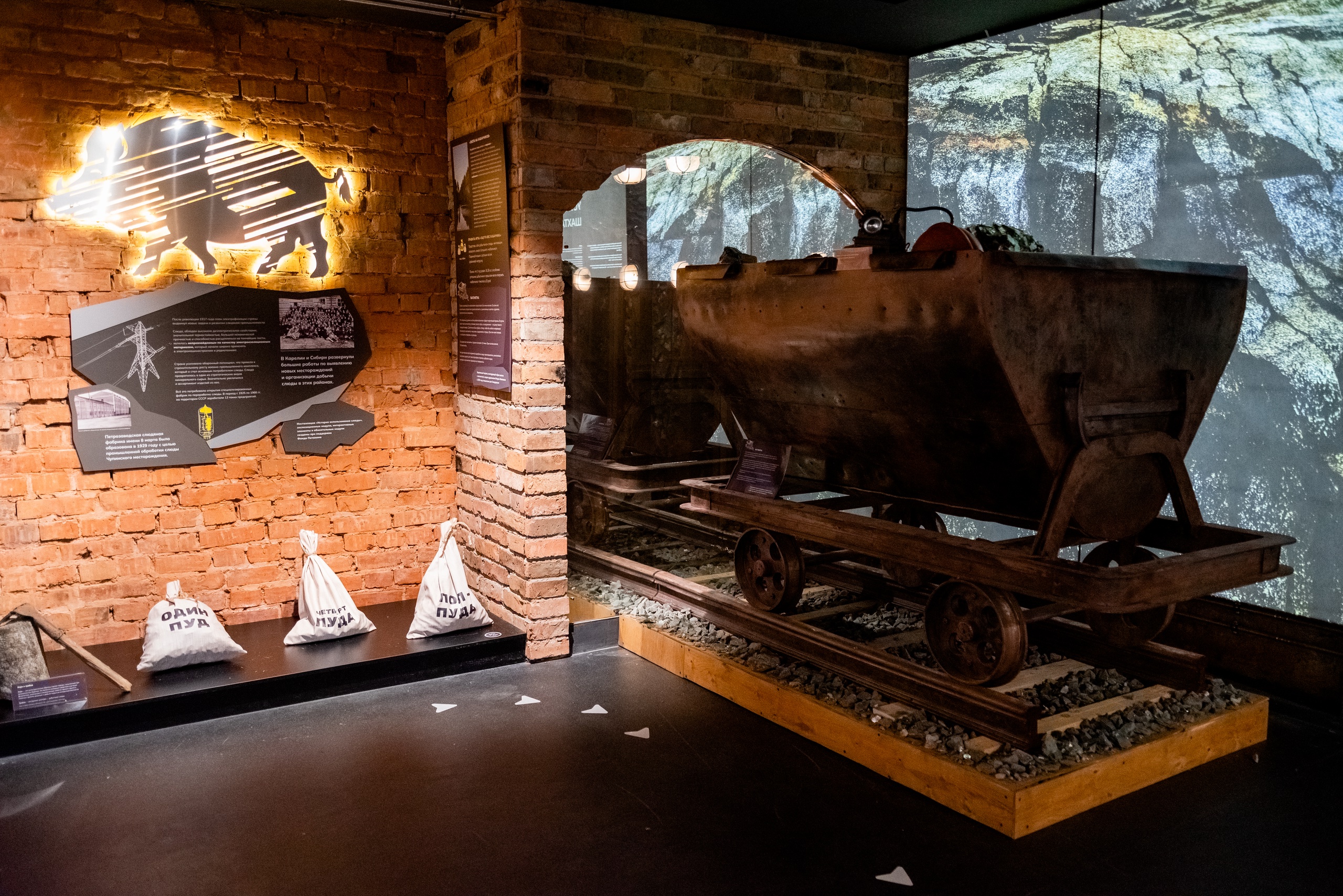 В Петрозаводске школьников ждут на экскурсии про слюду и экологию