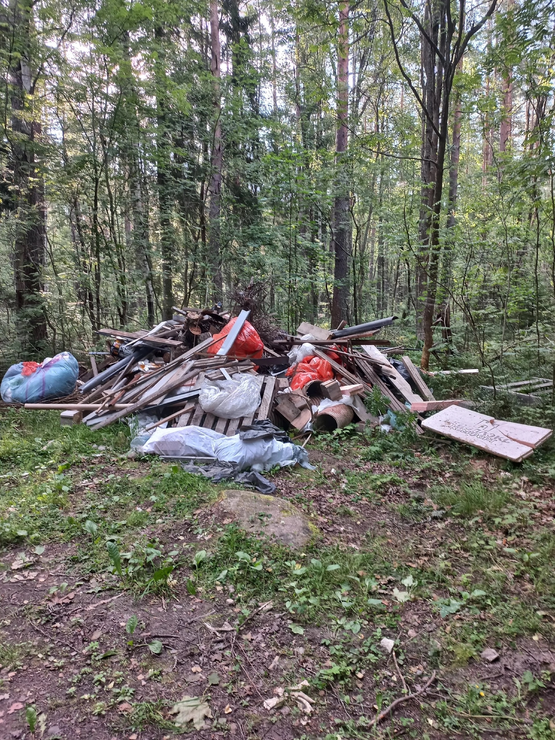 «Не туристы, а местные»: в сети обсудили, кто на самом деле загрязняет карельские леса