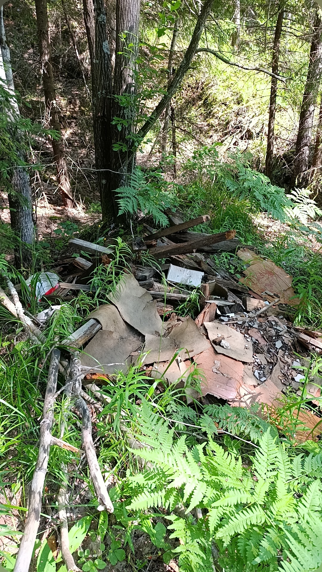 Строительная свалка у озера возмутила жителей Карелии