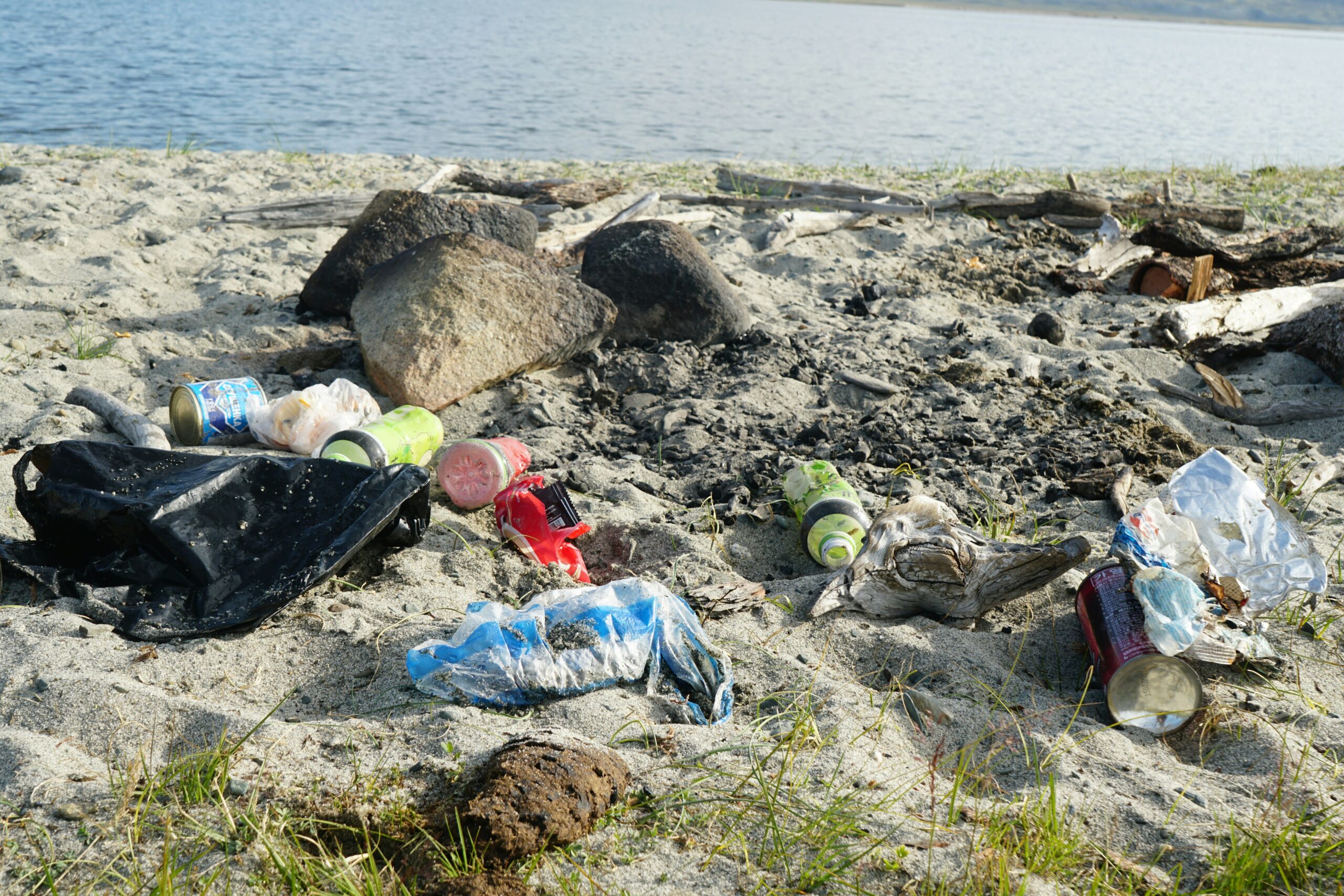 Минприроды прокомментировало публикации о свалке на берегу Онежского озера