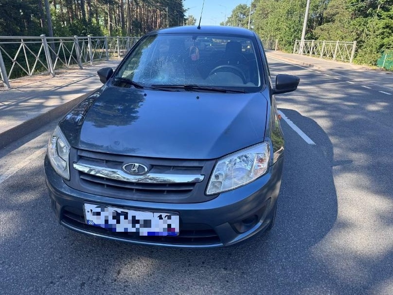 Перебегавшие дорогу в неположенном месте две женщины оказались под колесами автомобиля в Прионежье