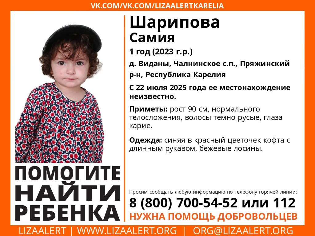 Годовалая девочка пропала в Пряжинском районе