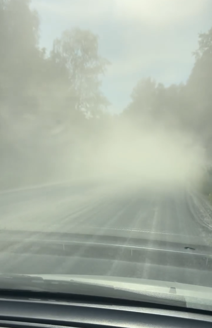 «Мы тоже люди»: жители двух поселков Карелии обратились к главе республики из-за состояния дороги