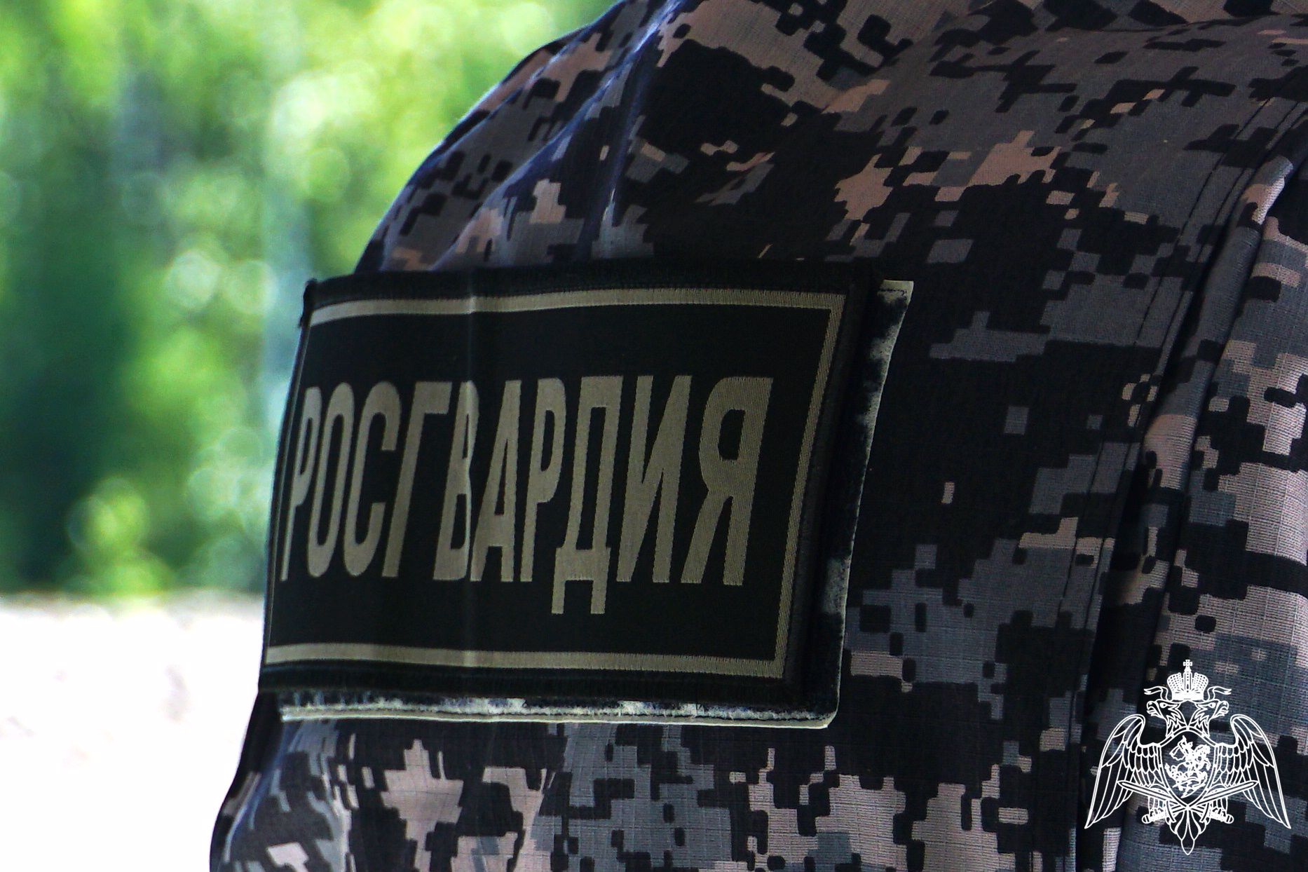 За неделю семь злоумышленников были задержаны сотрудниками Росгвардии