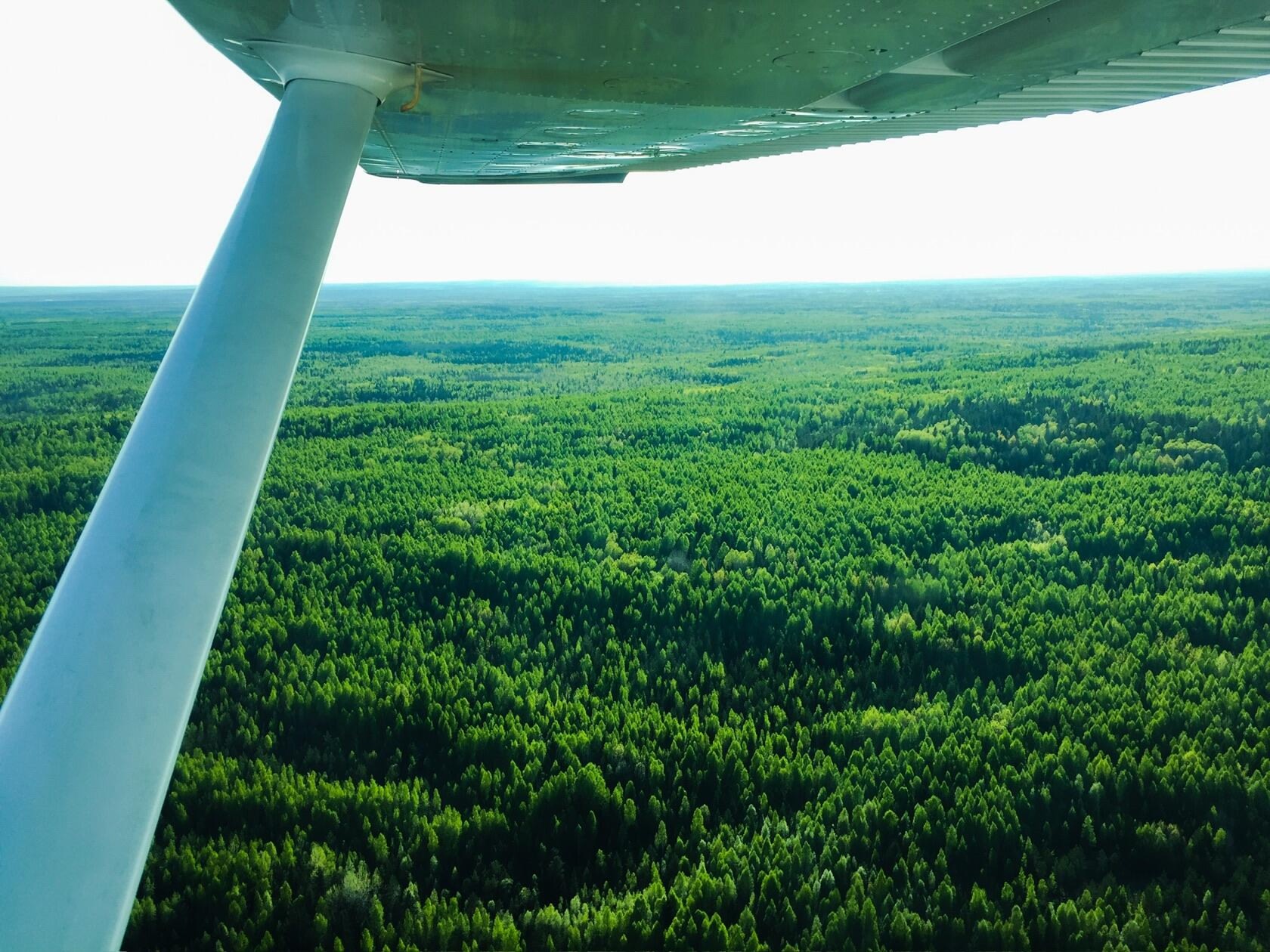 Воздушное патрулирование лесов возобновили в Карелии из-за пожарной опасности