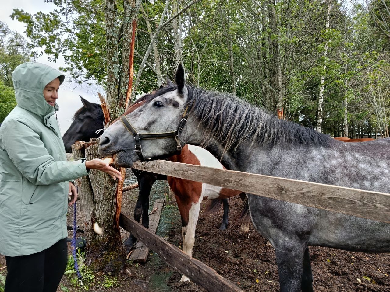 В Карелии запустили новый маршрут сельского туризма