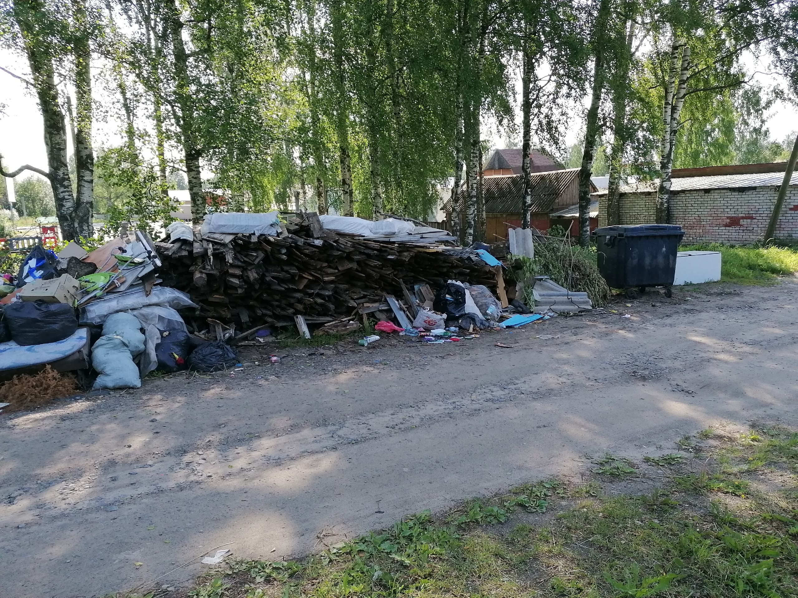 Житель Карелии устроил склад древесины у мусорки