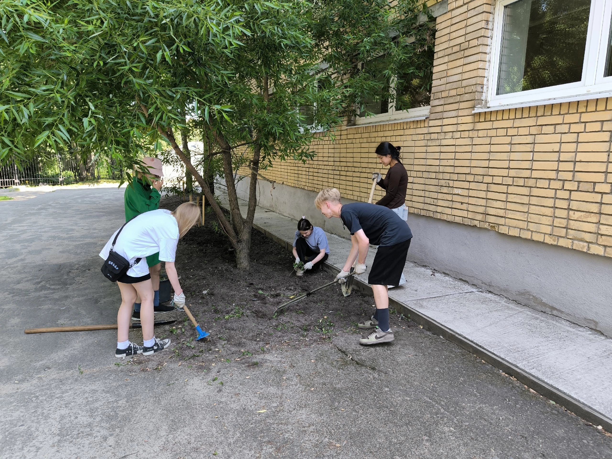Юные петрозаводчане навели порядок во дворе школы
