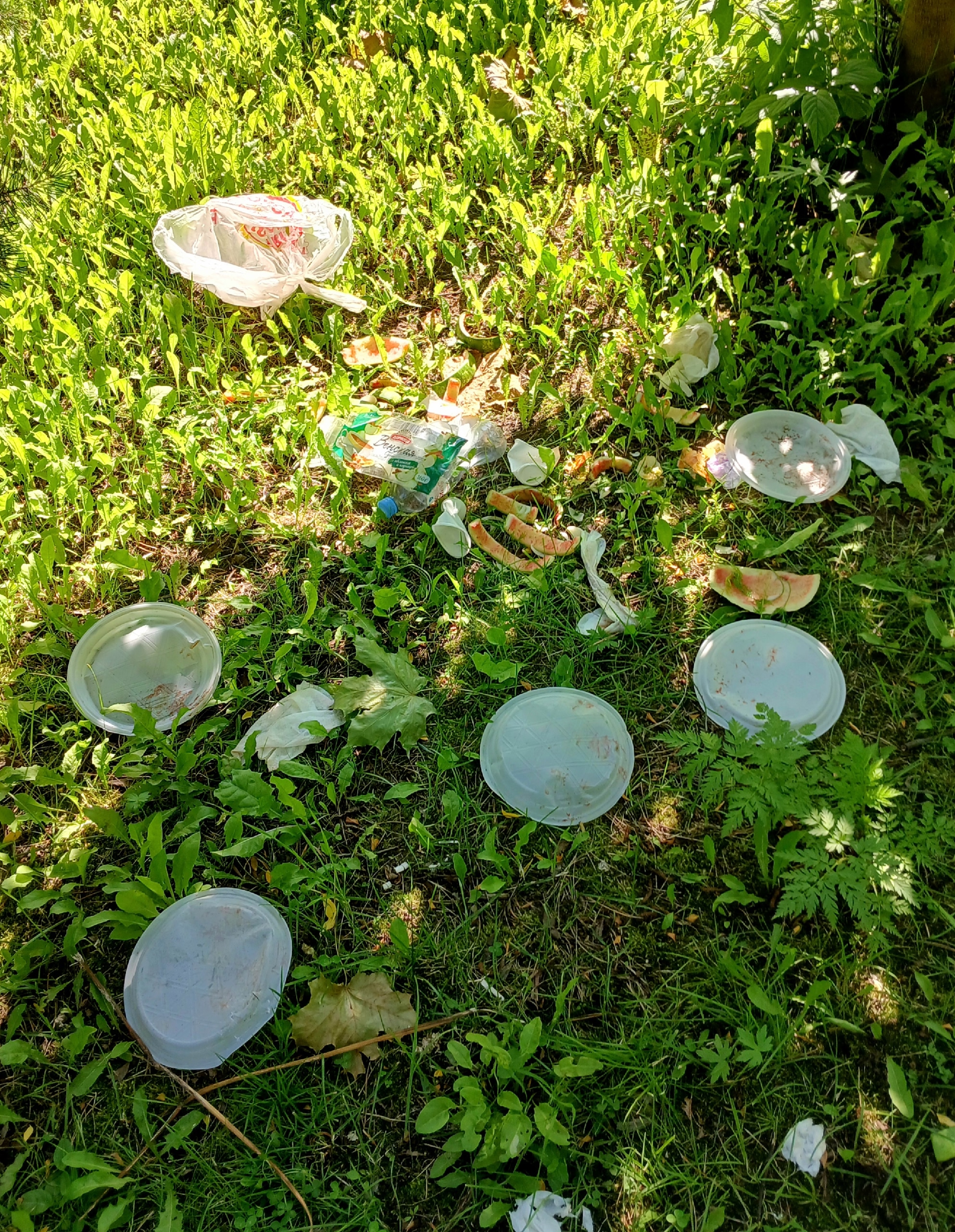 «Это не помойка»: на севере Карелии устали от мусора после пикников