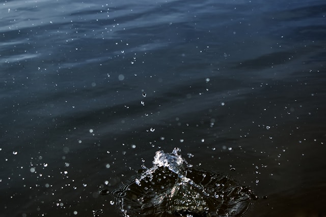 Петрозаводчанин утонул на даче в Прионежье