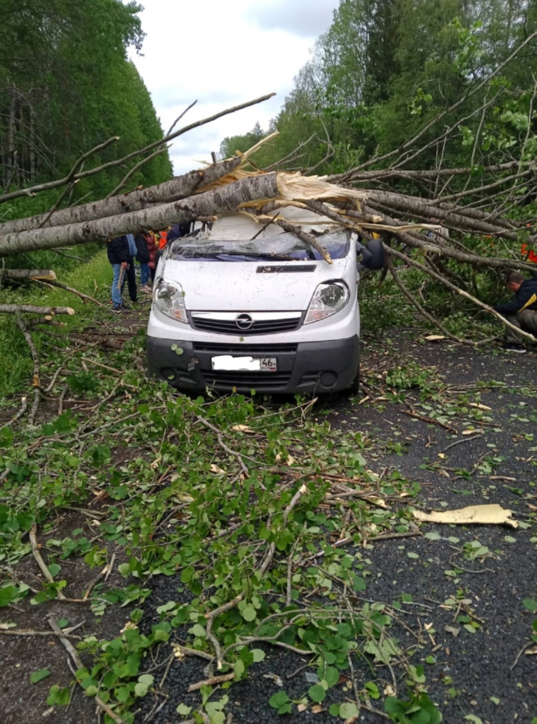 Спасатели Сортавалы срезали крышу микроавтобуса, чтобы достать женщину, которую заблокировало рухнувшее дерево (ФОТО)