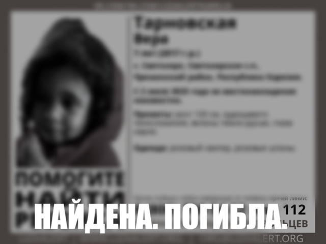 Семилетняя девочка погибла в Пряжинском районе