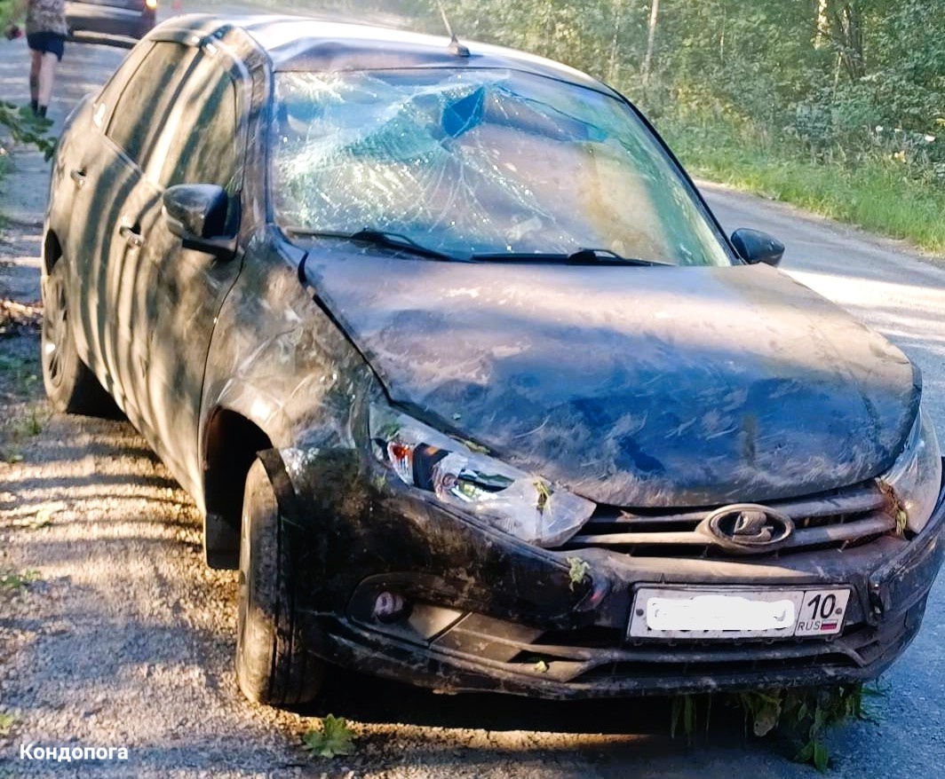 Девушка-водитель пострадала в аварии, когда ее машина улетела с дороги в Кондопожском районе