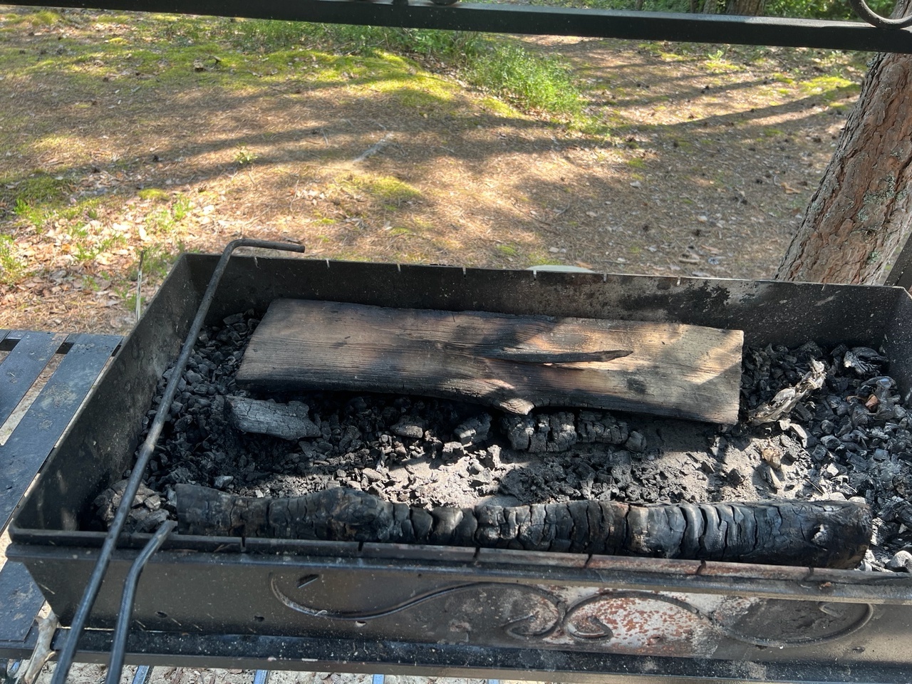 Отдыхающие оставили горящий мангал на берегу озера в Карелии