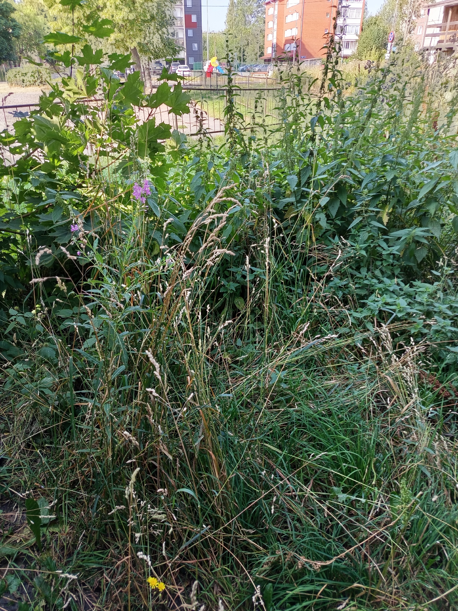 Квартиры в расширенном центре Петрозаводска затопило фекалиями