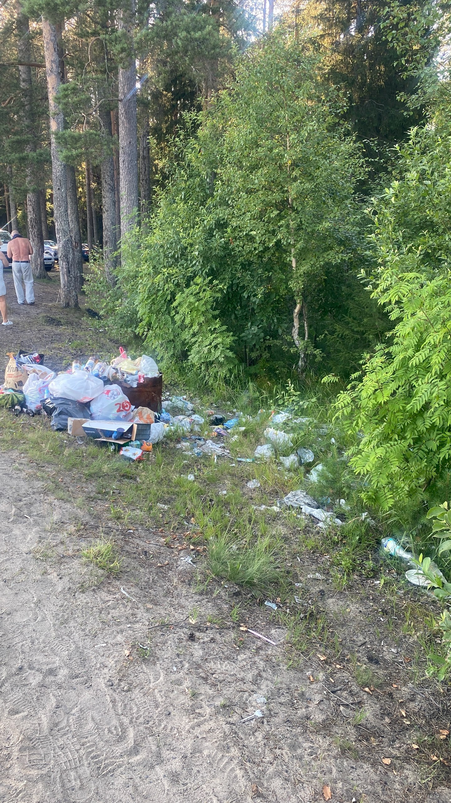 Берег озера в Лососинном забросали мусором