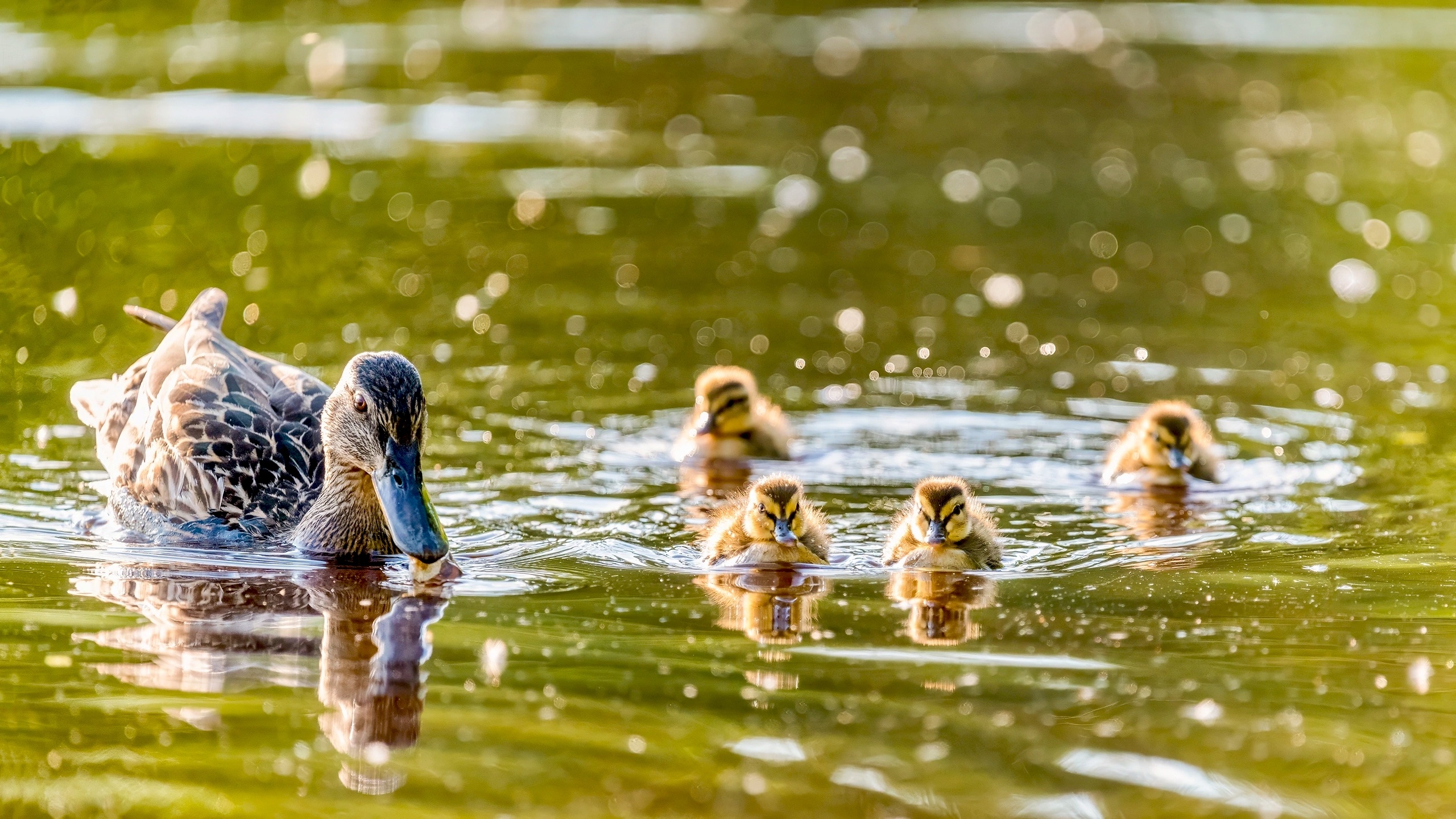 Синоптики рассказали о погоде в Карелии на среду