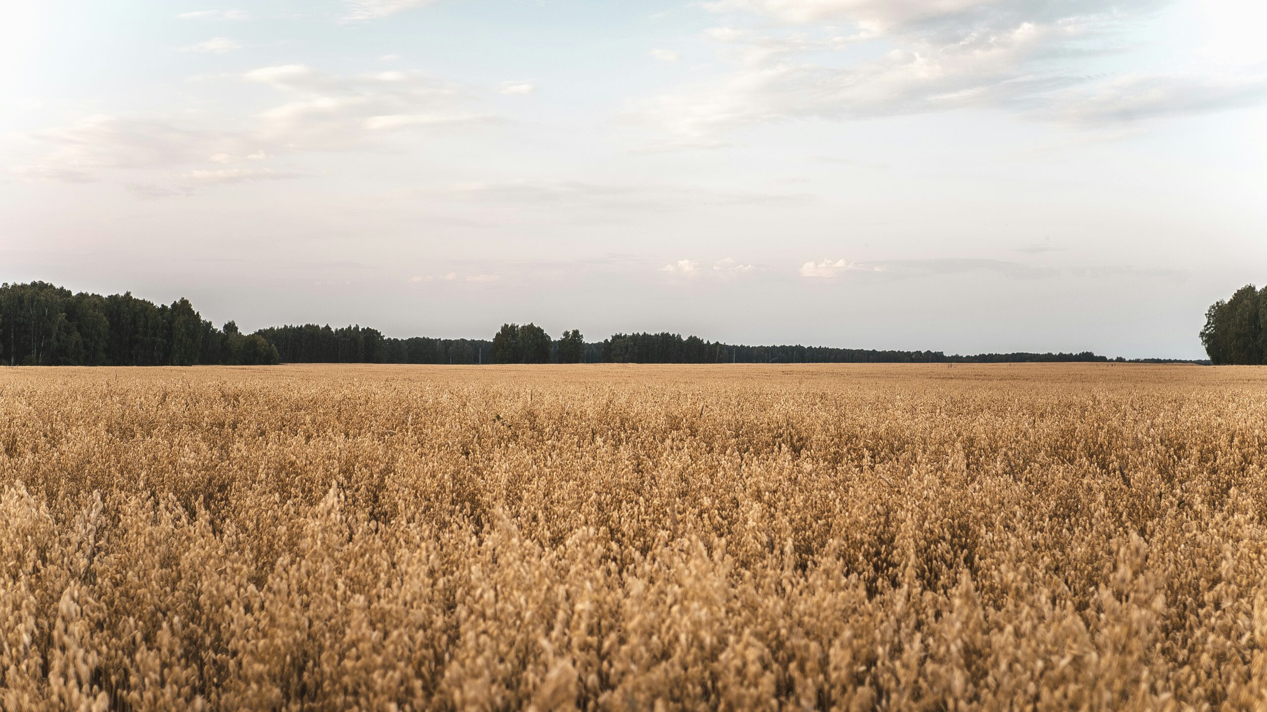 У будущих агрономов Карелии теперь появится своя научная площадка