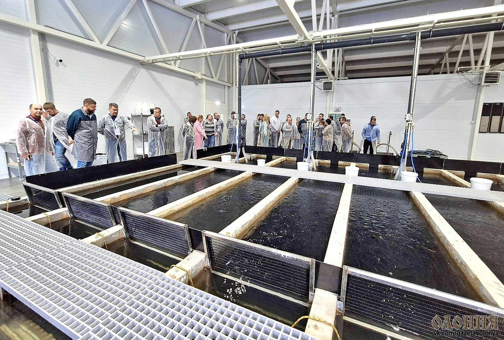 Карельское предприятие «Вечерний бриз» удвоит производство рыбы