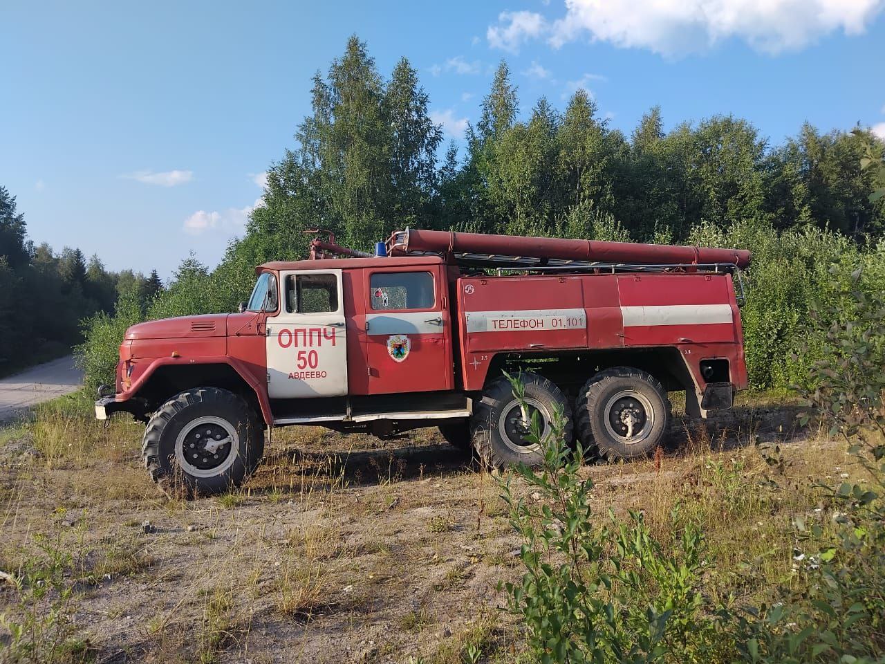 Пожар произошел на территории лесфонда рядом с ЛЭП в Пудожском районе