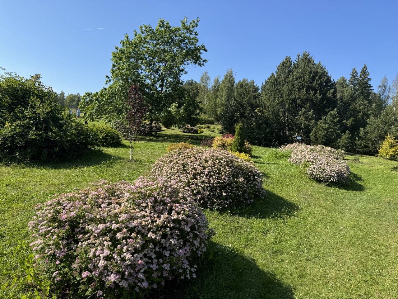 Синоптики рассказали о погоде в Карелии на четверг