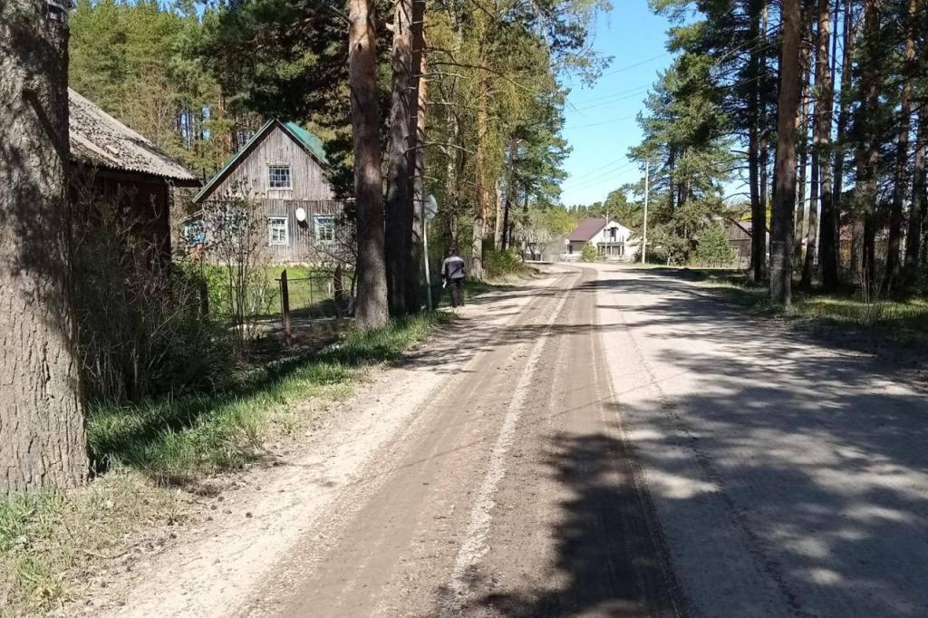 Глава регионального Минтранса объяснил планы изменения дорожных работ в Лахденпохском районе