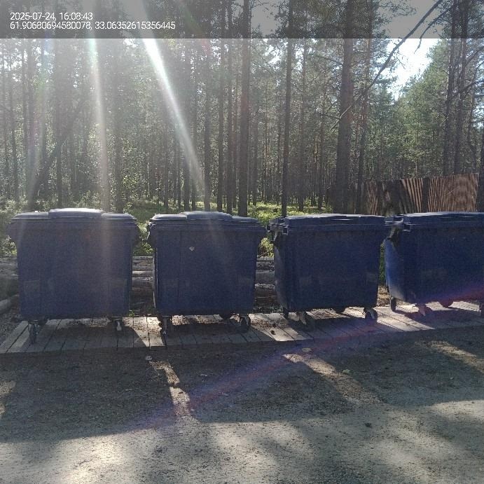 Помойки в Сямозеро очистили после публикаций в СМИ