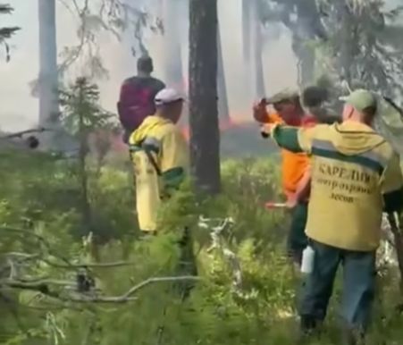 Группа десантников из Марий Эл приедет в Карелию для борьбы с пожарами