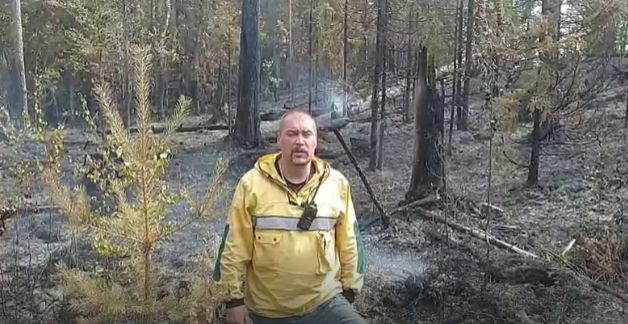 Крупный пожар потушили рядом с поселком Волома