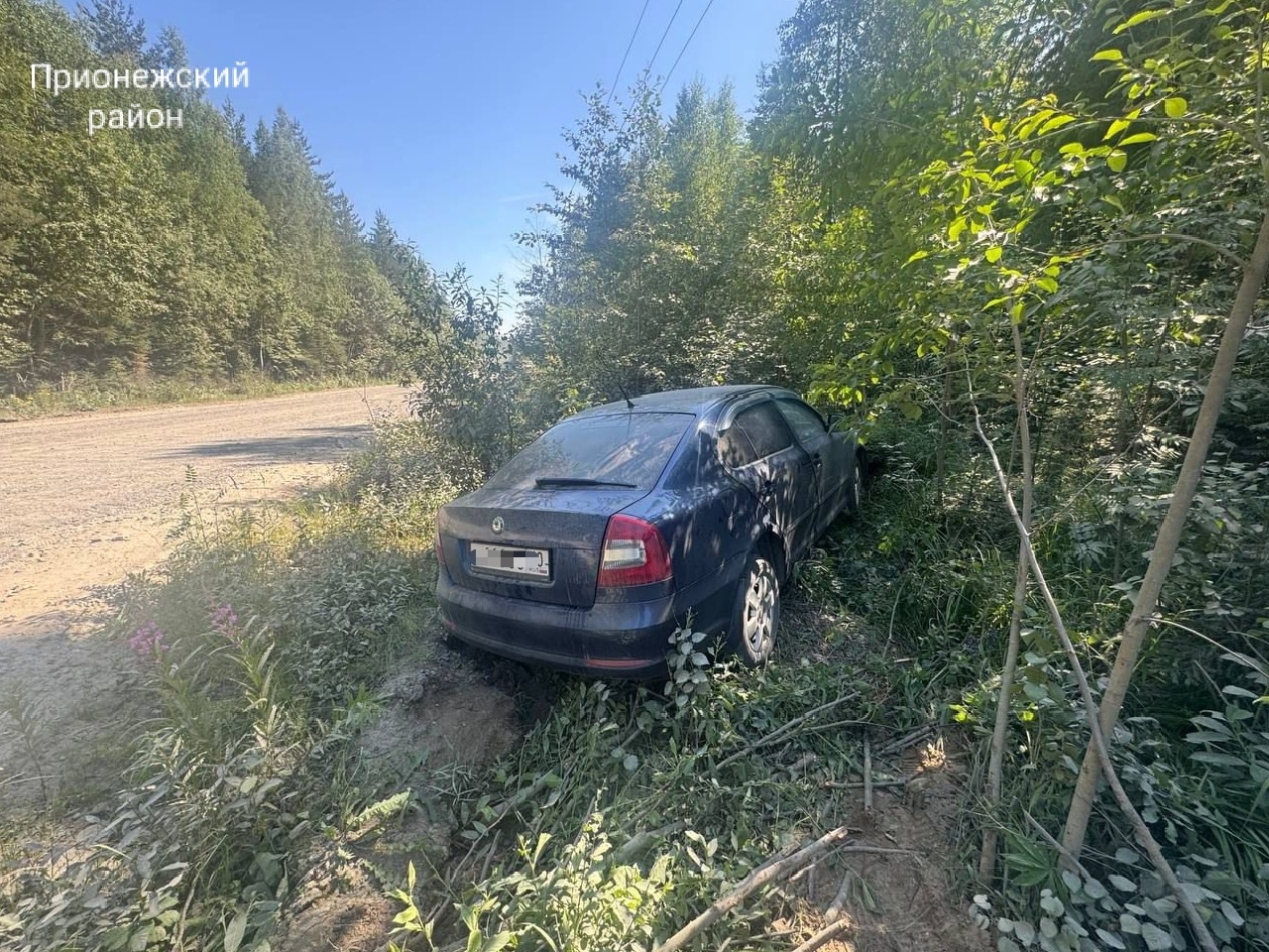 Иномарка вылетела в кусты у дачного кооператива в Прионежье — в итоге трое пострадавших