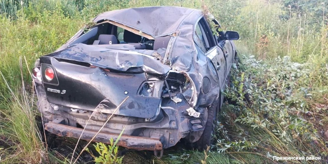 Женщина на иномарке сбила собаку и не удержала разогнавшееся авто на трассе в Карелии