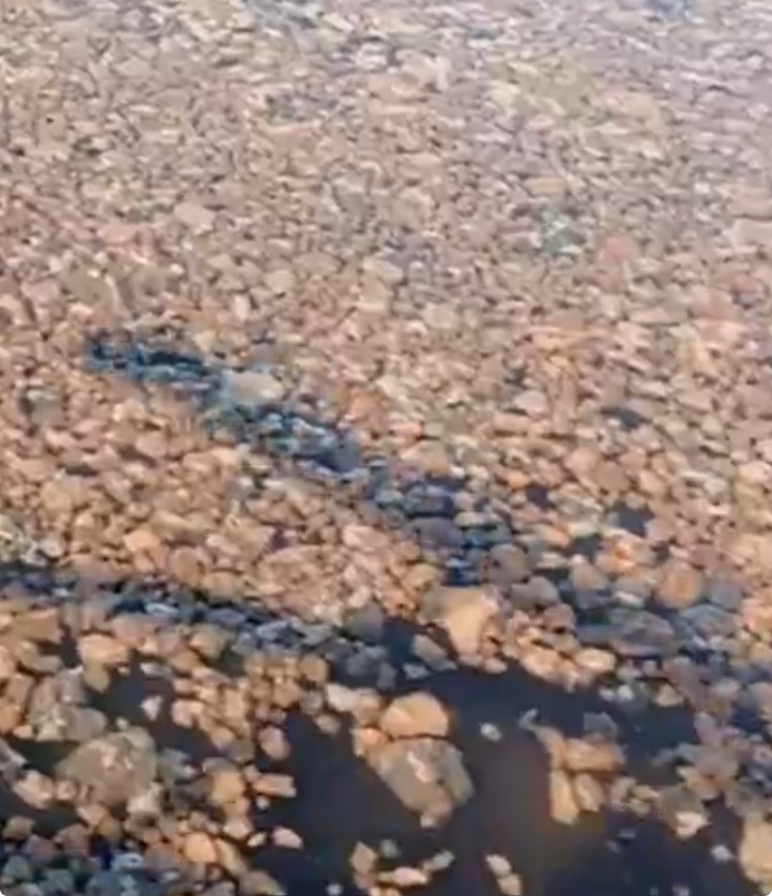 Жители Кондопожского района шокированы состоянием озера