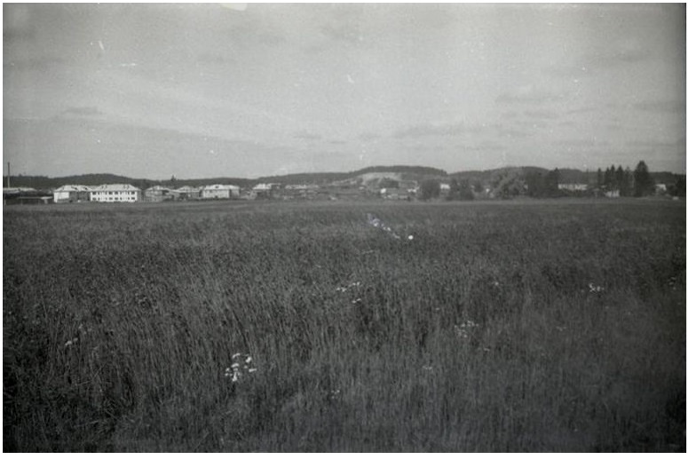 В сети напомнили, как ячмень помогал бороться с сорняками в советской Карелии