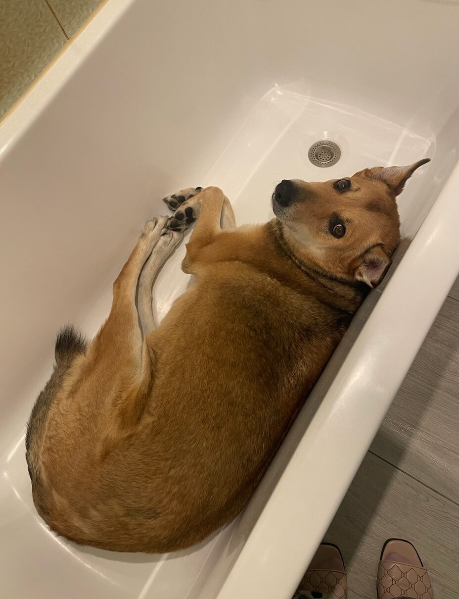 Штормовое предупреждение объявили в Карелии из-за аномальной жары