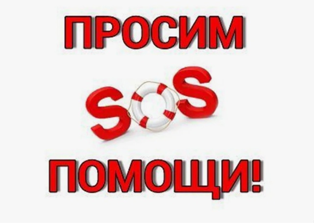 Сестра пропавшей туристки-байдарочницы обратилась к жителям Беломорского округа с просьбой о помощи найти женщину