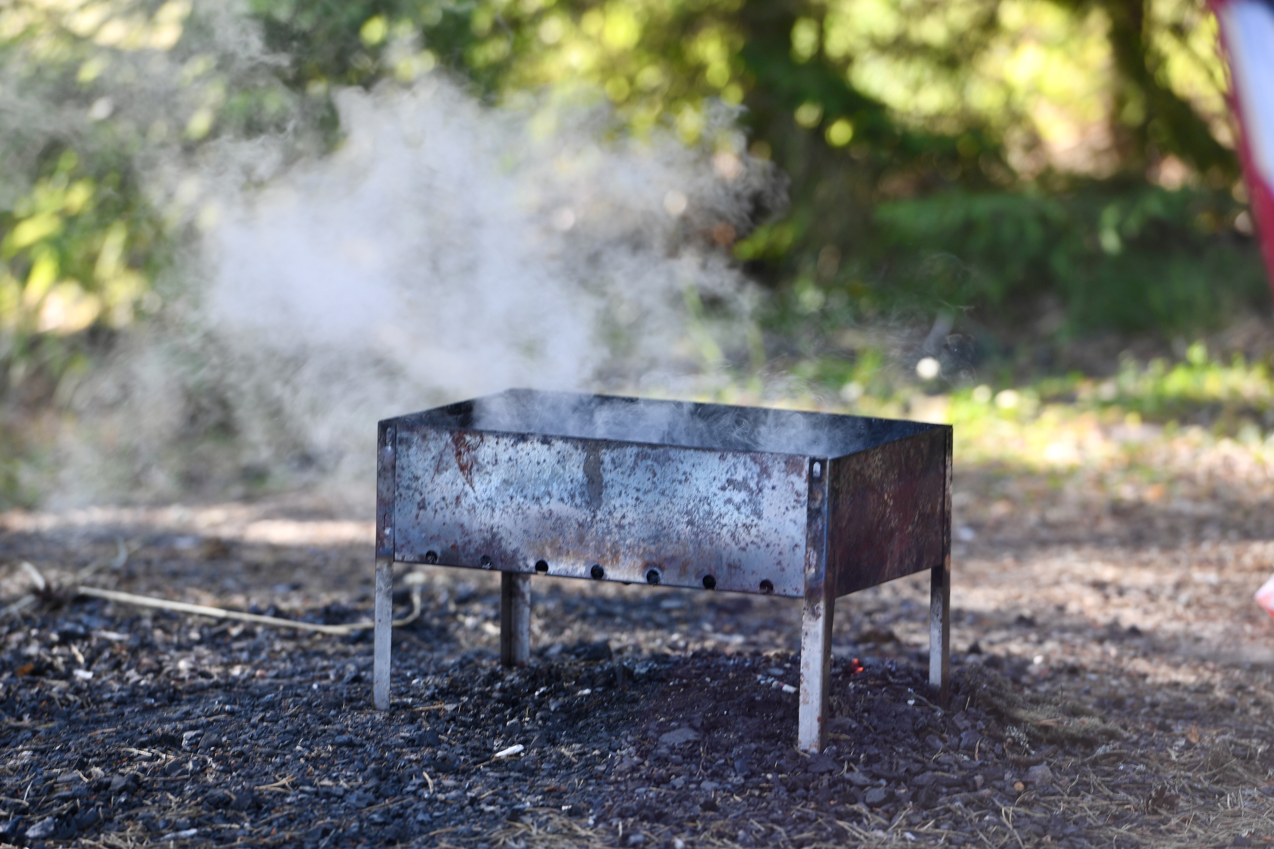 Жители Петрозаводска жарили шашлыки в паре метров от знака «Высокая пожарная опасность» и попали на крупный штраф