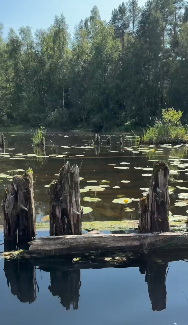 В сети рассказали про интересный водный маршрут в Карелии