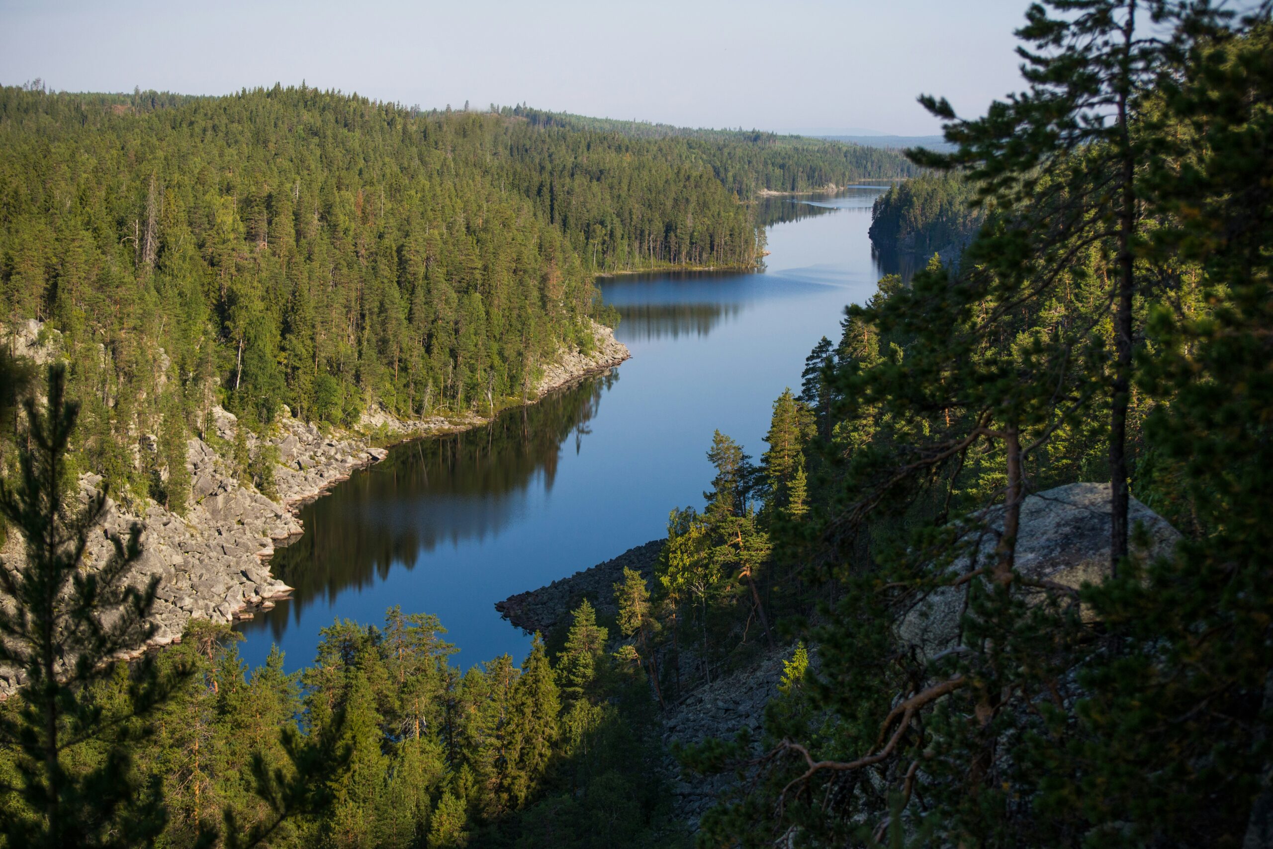 В Карелии пройдет «День Лешего»