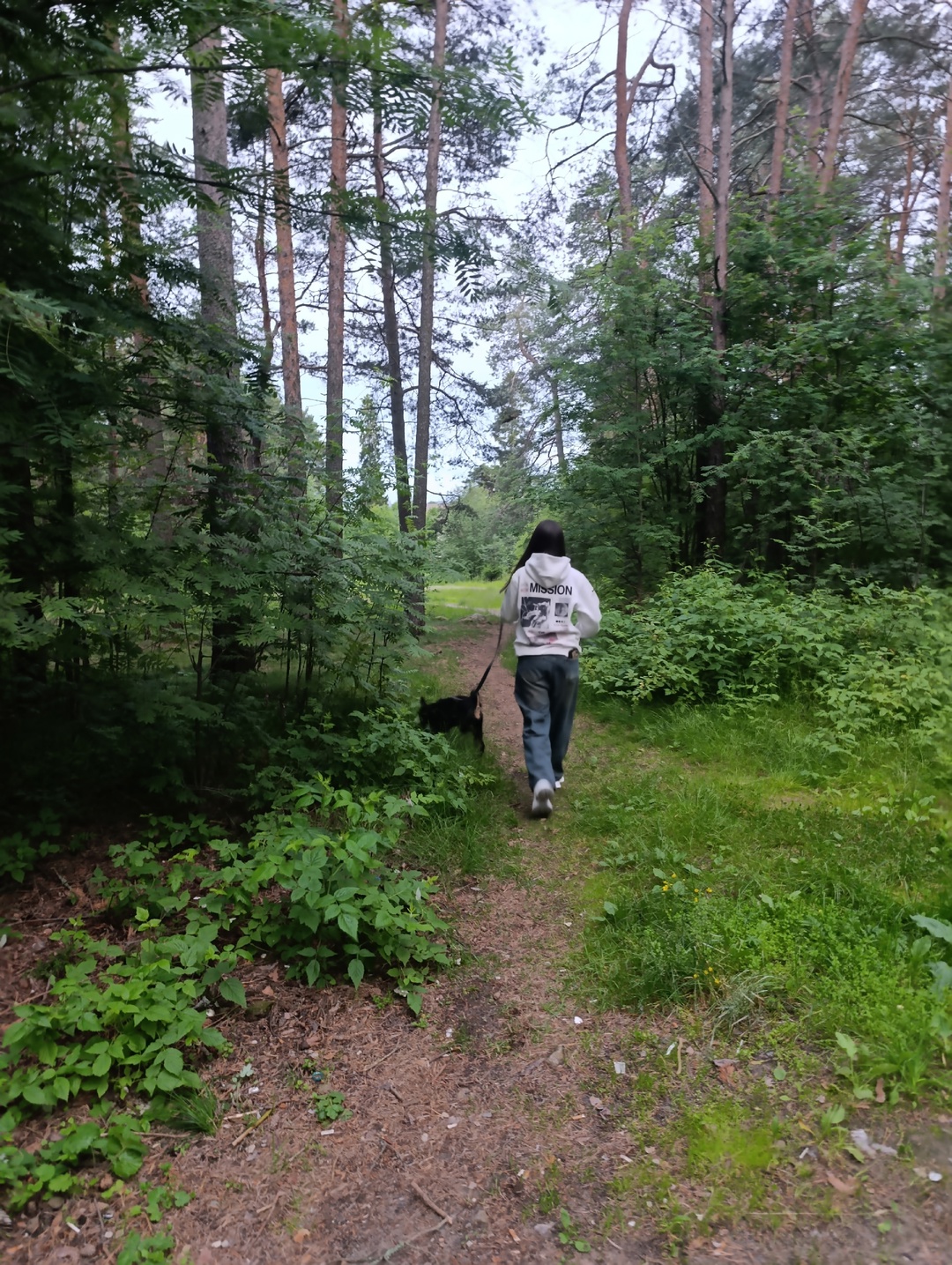 Петрозаводчанка пожаловалась на мат подростка с собакой, которая покусала ее ребенка