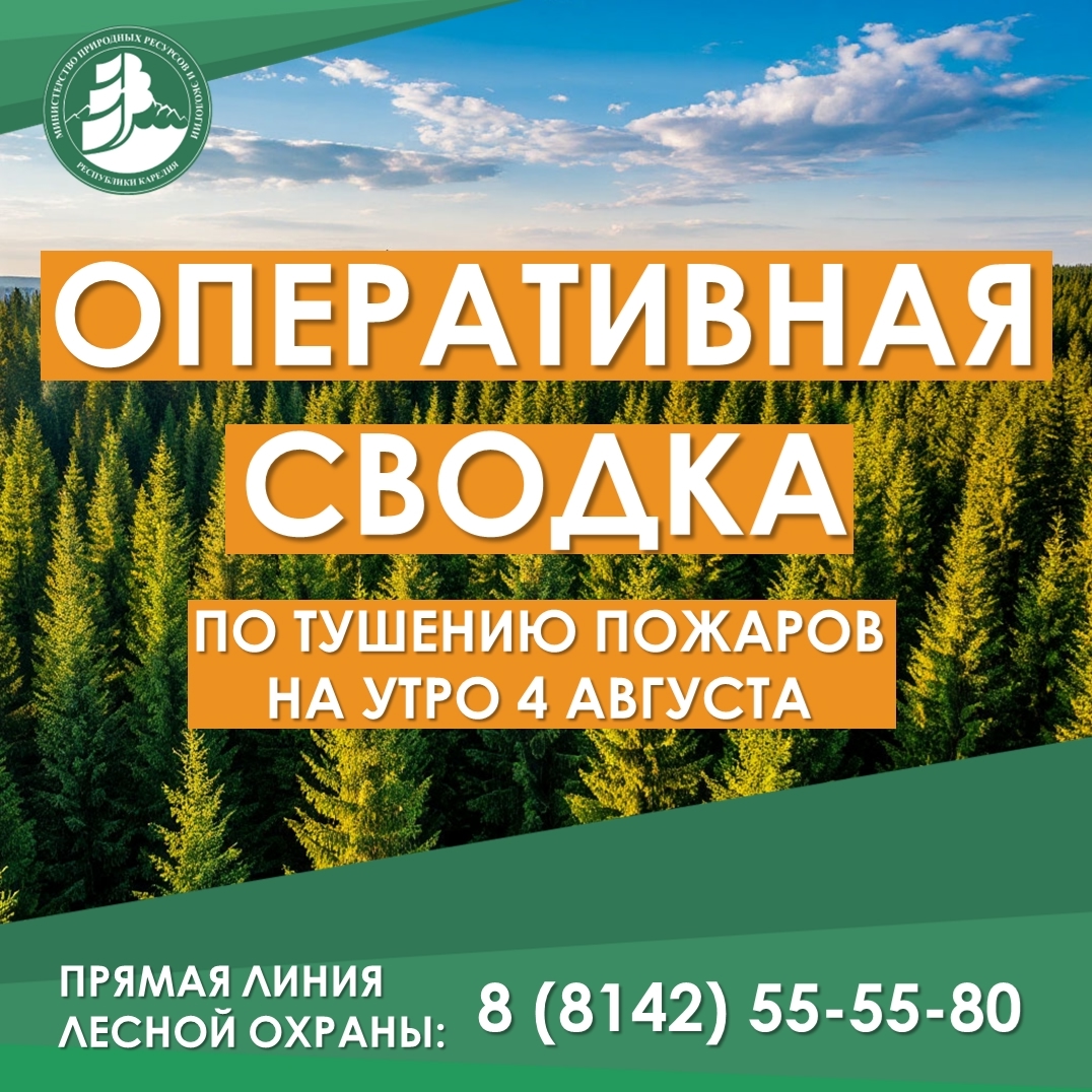 В Карелии за сутки ликвидированы 16 лесных пожаров