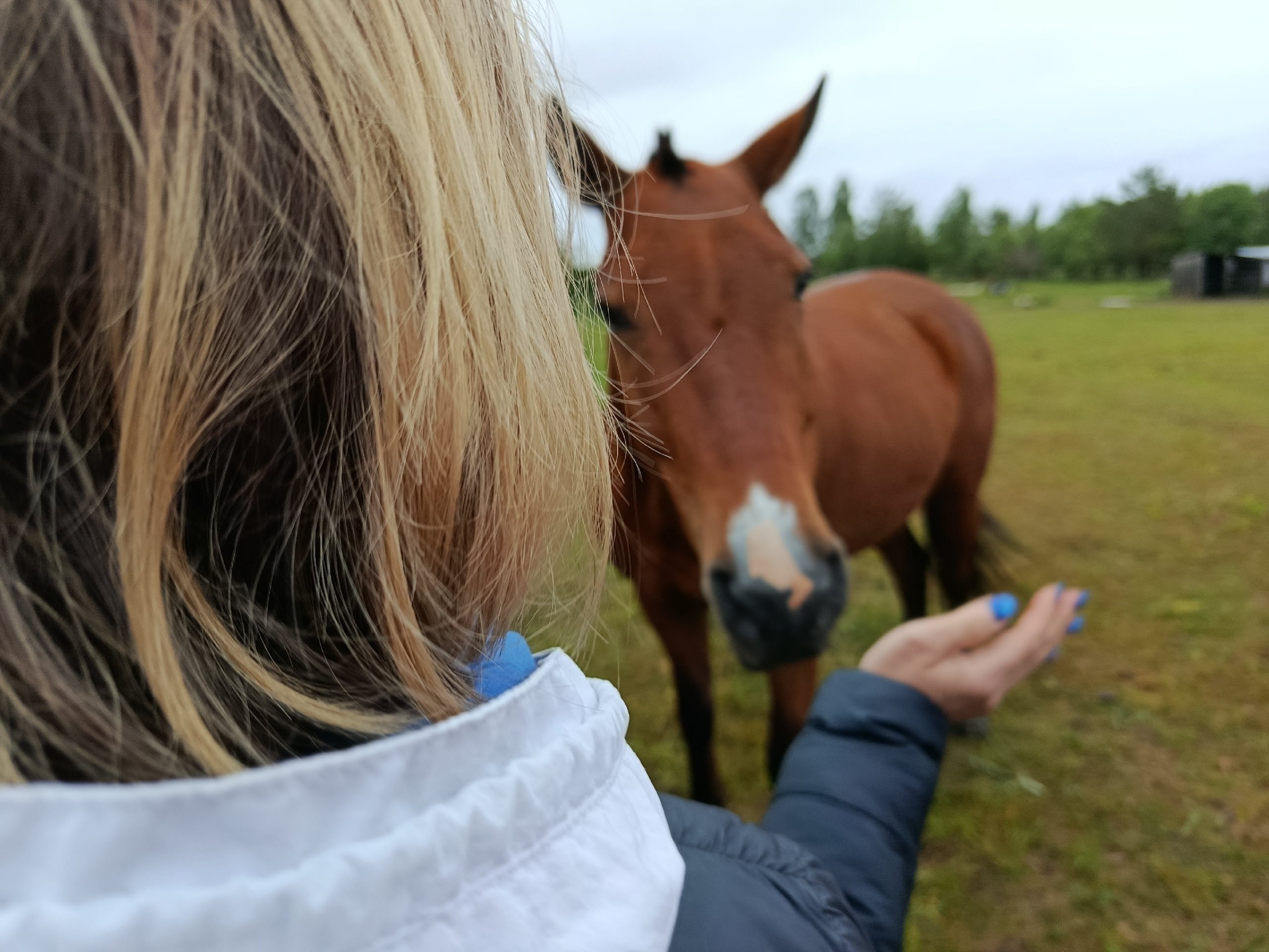 Карельских сельхозпредпринимателей приглашают зарегистрироваться в реестре сельского туризма