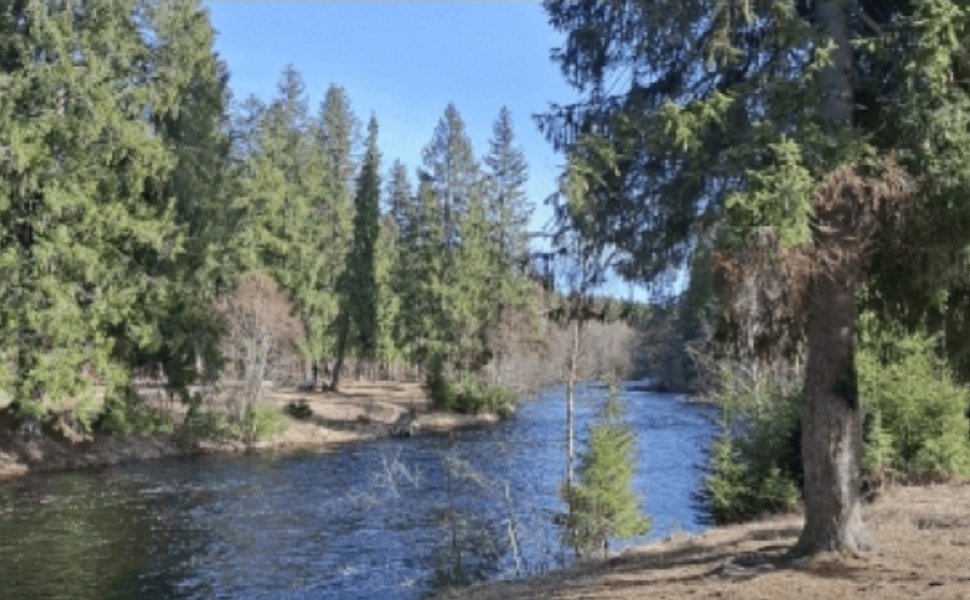 Студентка ПетрГУ создала аудиоэкскурсию по Лососинке для велотуристов