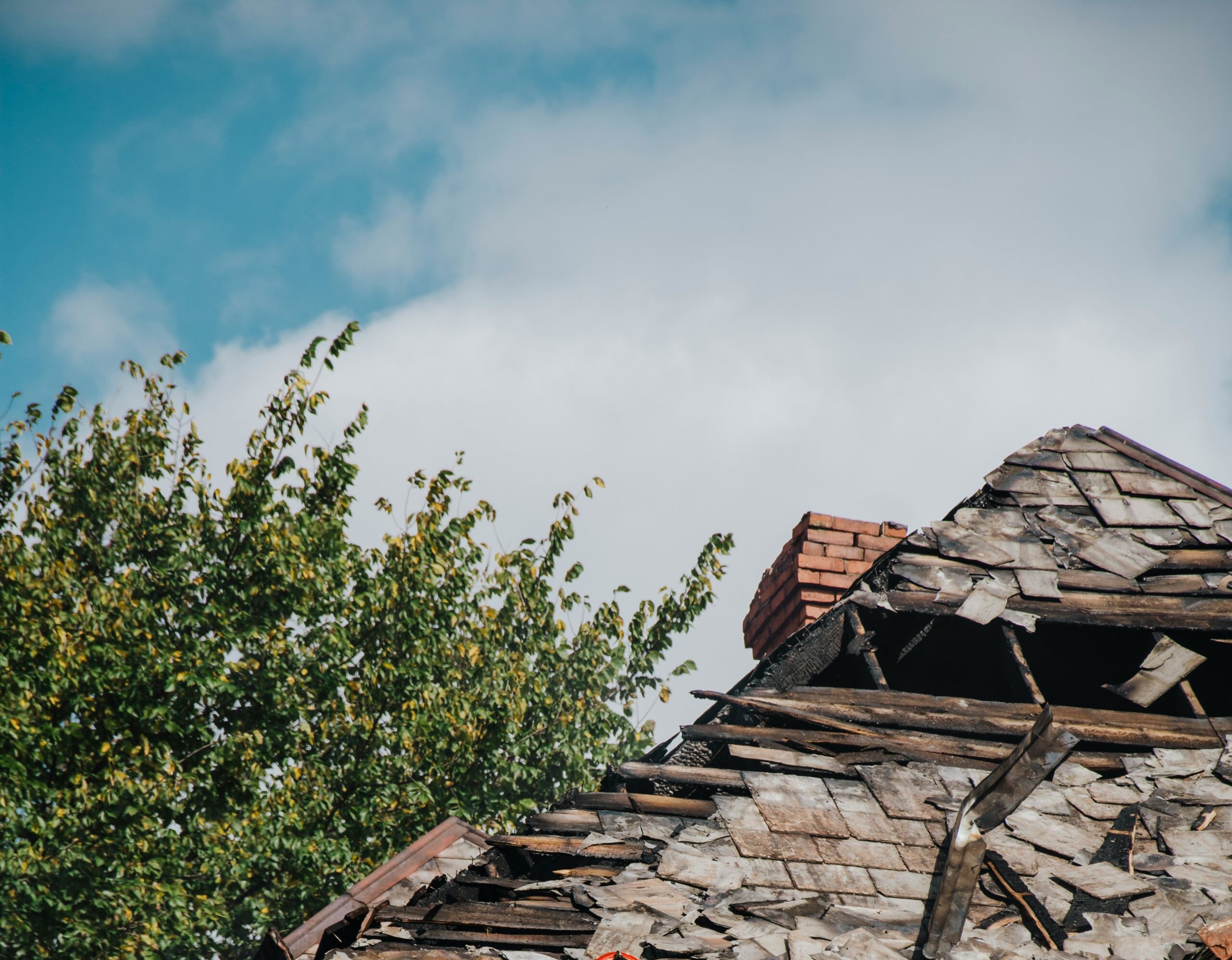 В Карелии права инвалида защитят после вмешательства Бастрыкина