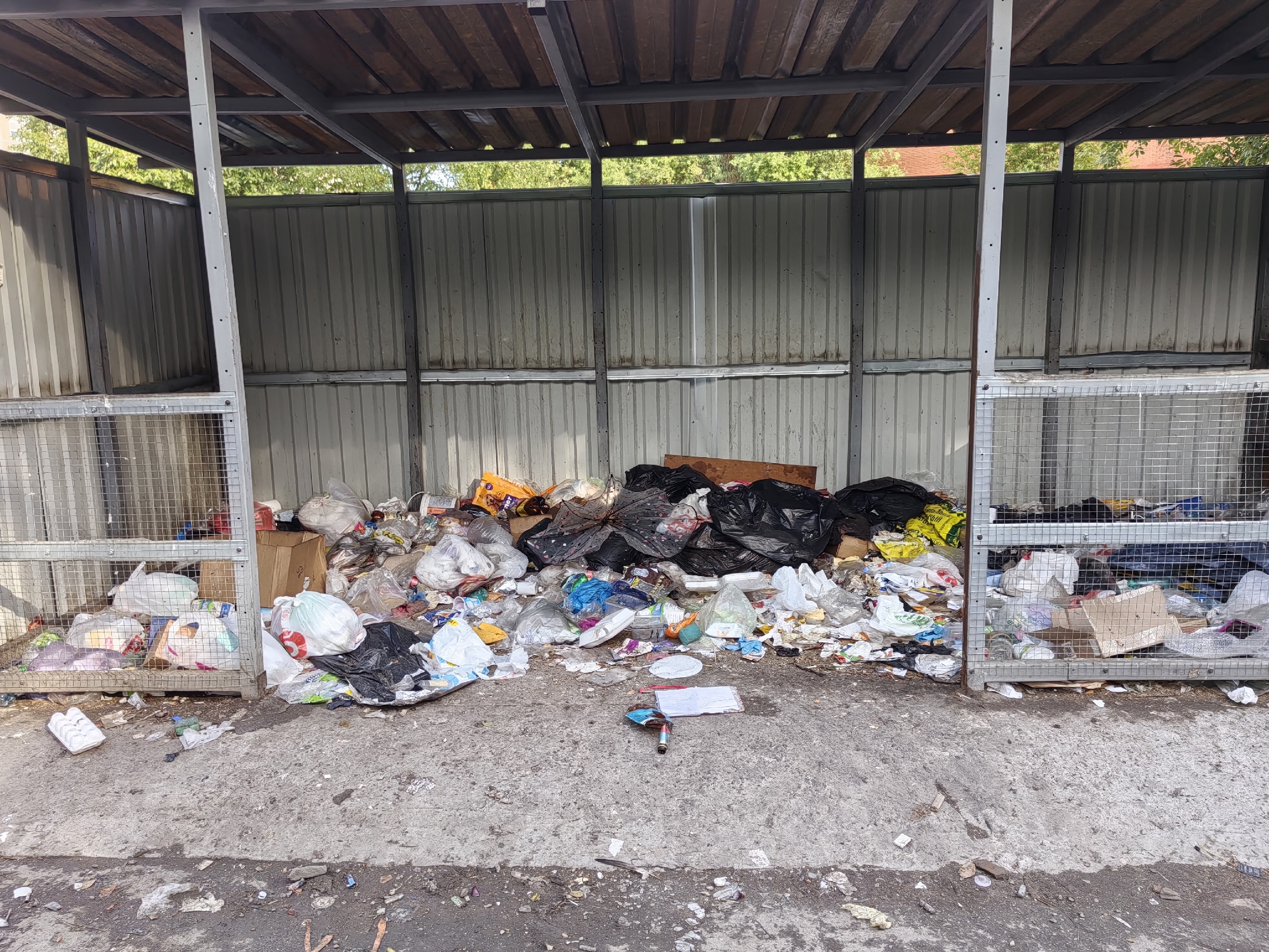 Мусорная площадка на Кукковке стала рассадником антисанитарии