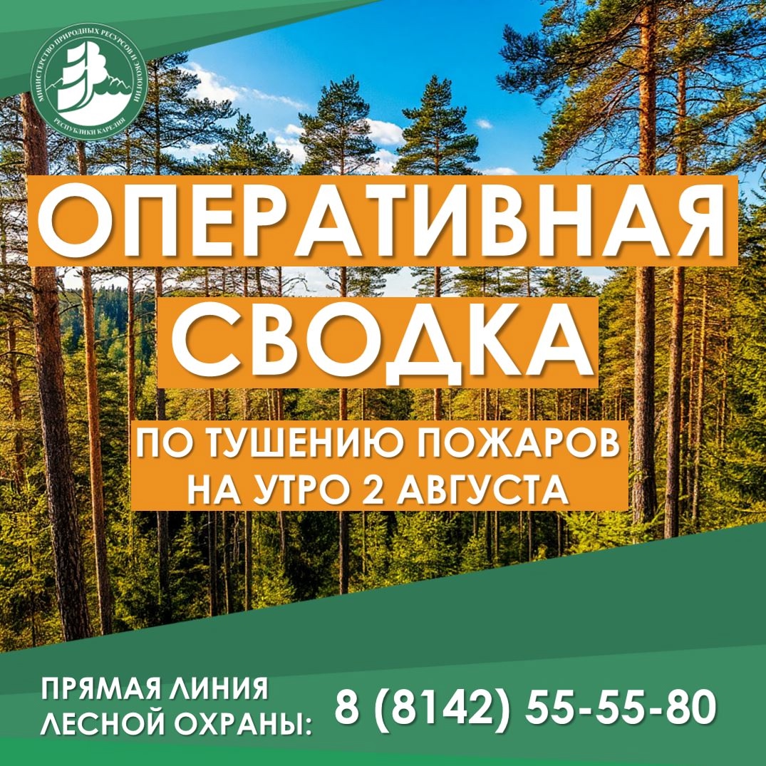 В Карелии продолжают действовать 37 лесных пожаров