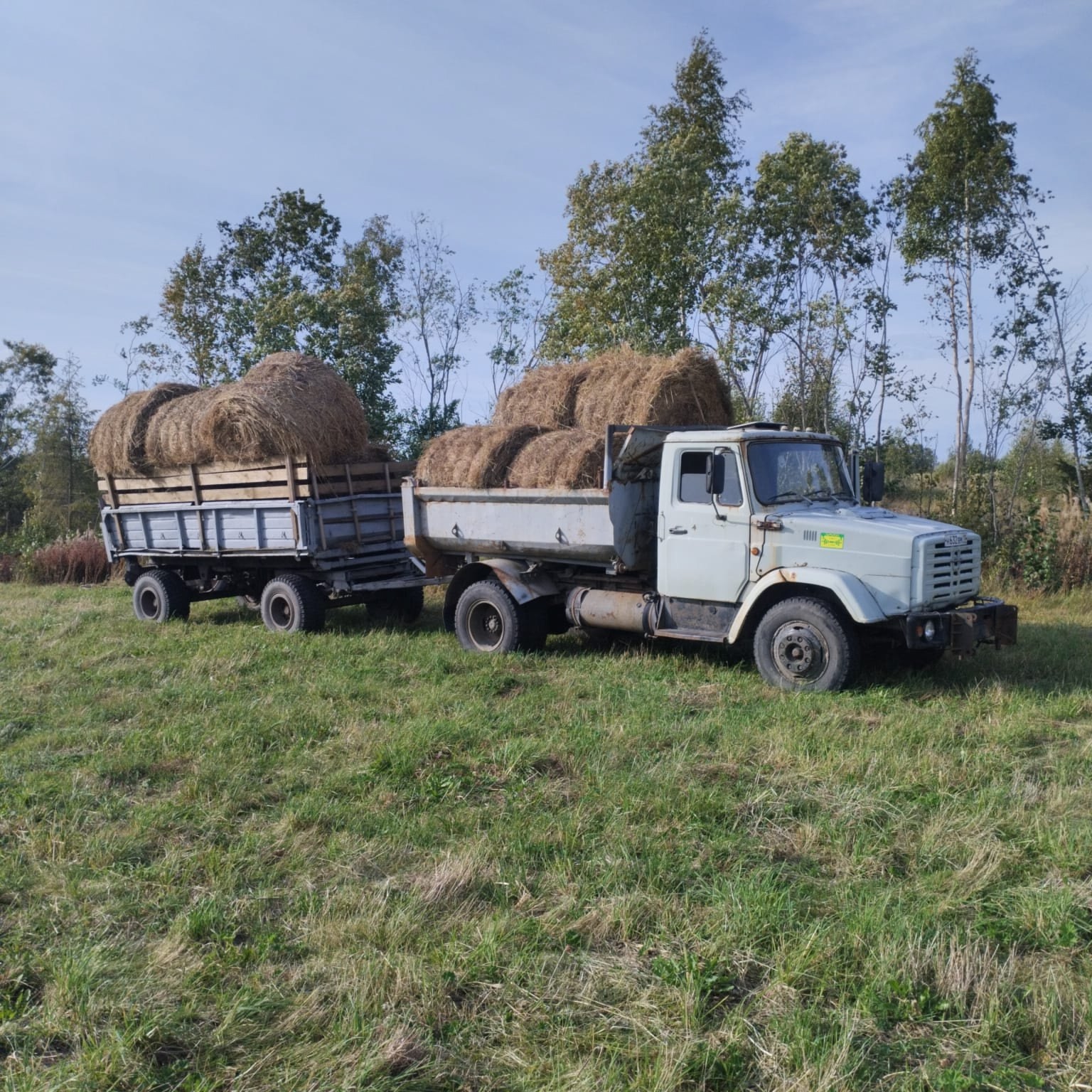 На территории бывшего зверосовхоза успешно развивается фермерское хозяйство