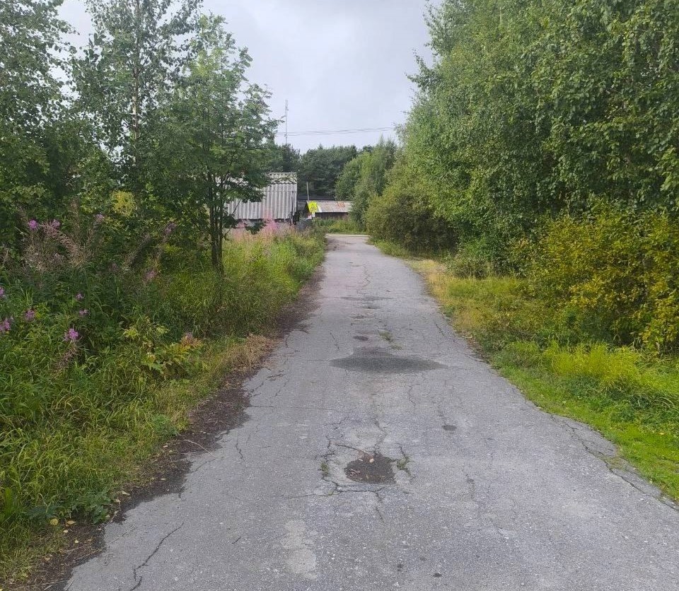 В Карелии началась реконструкция дороги к новой амбулатории в Рабочеостровске