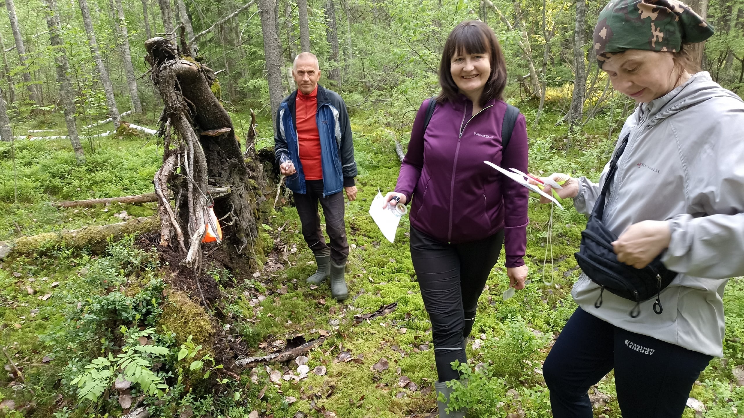 Фестиваль «Летние Фонтаны» откроется 26 августа