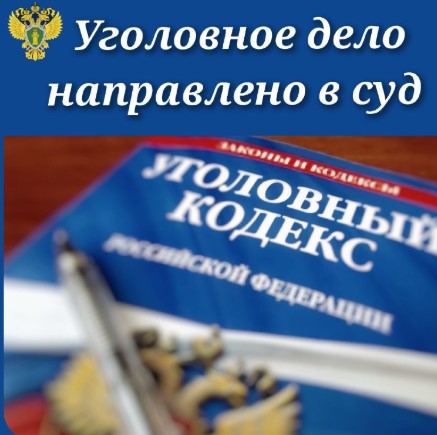 Жительницу Карелии обвиняют в организации сбыта наркотиков через интернет