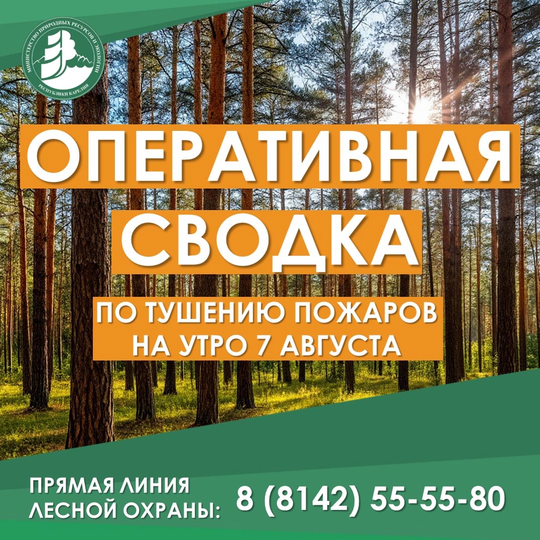 В Карелии действует 21 лесной пожар, 15 из них локализованы